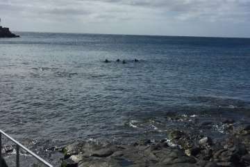 IV Open Fotosub Telde en aguas de Taliarte y Tufia (Foto TA)